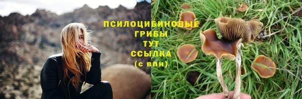 ешки Нягань