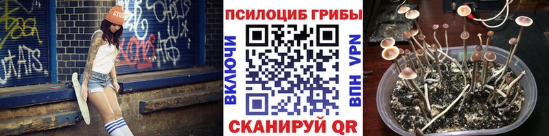 Галлюциногенные грибы мухоморы  где можно купить наркотик  Пойковский 